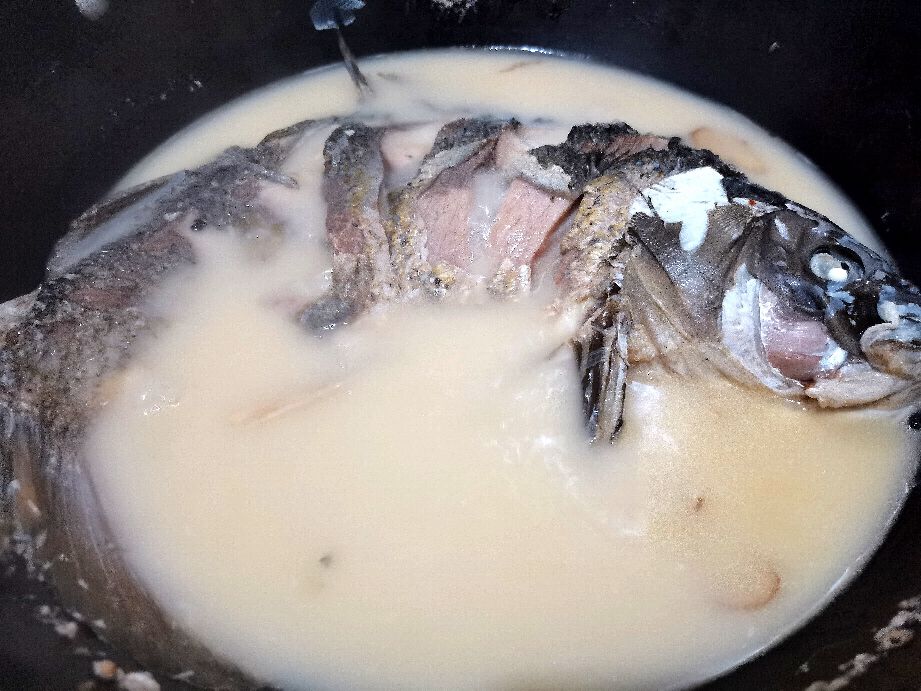 清燉鯉魚(yú)的做法,清燉鯉魚(yú)的做法和步驟視頻