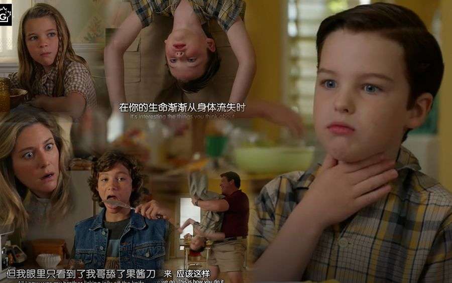 美剧开胃菜，十部重量级情景喜剧，让你笑到停不下来