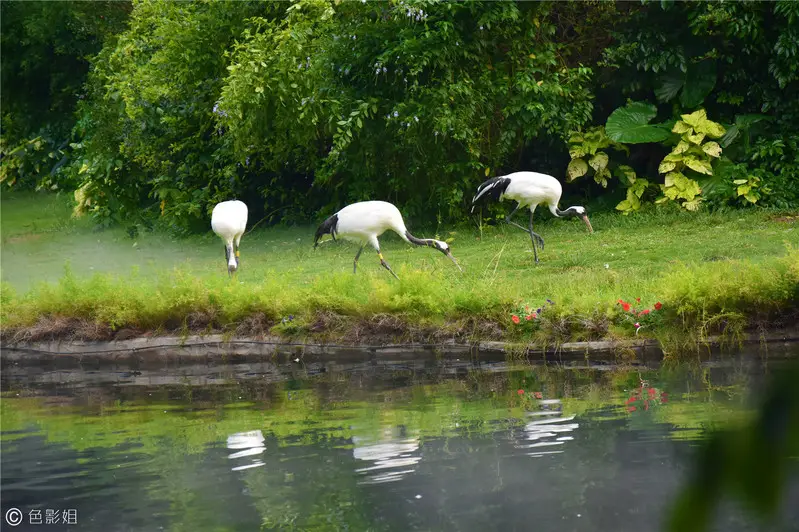 长隆欢乐世界旅游攻略景点必去（三天三夜欢乐长隆之旅）