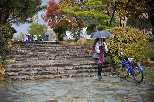 辽宁对外经贸学院学费（从高校名称上能够区分）