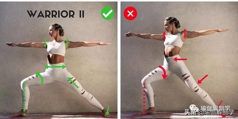 28个常见瑜伽体式“正误对比”图，初学者尤其要注意！（收藏级）