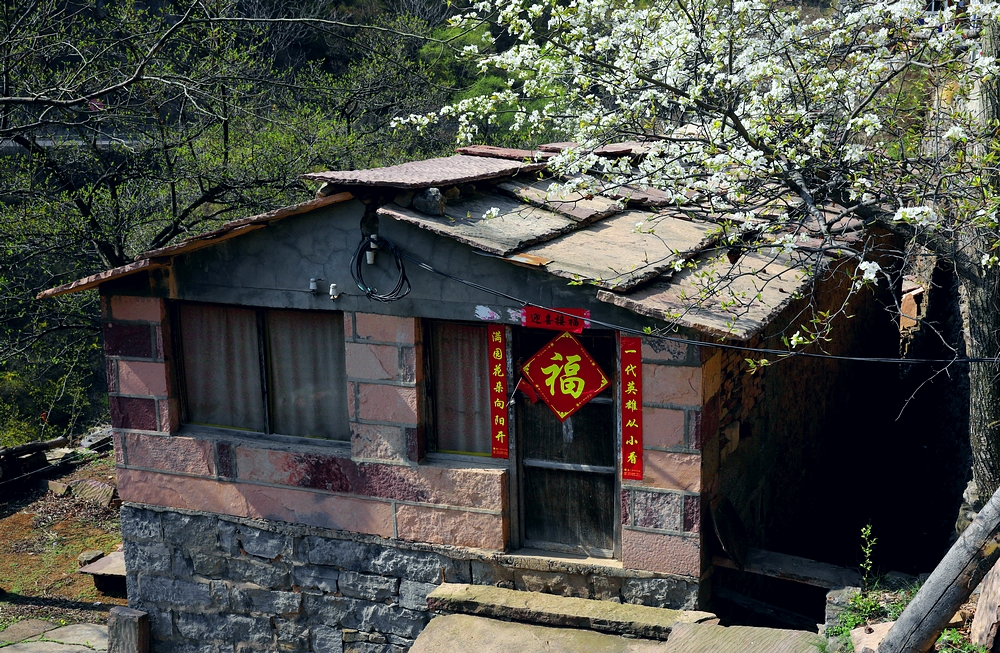 赏一场花宴，踏一方青翠，沉醉于太行山巅的世外桃源