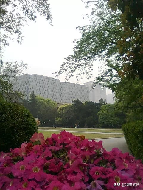 百年名校南京大学一日游，八年前的老照片带你回忆南大