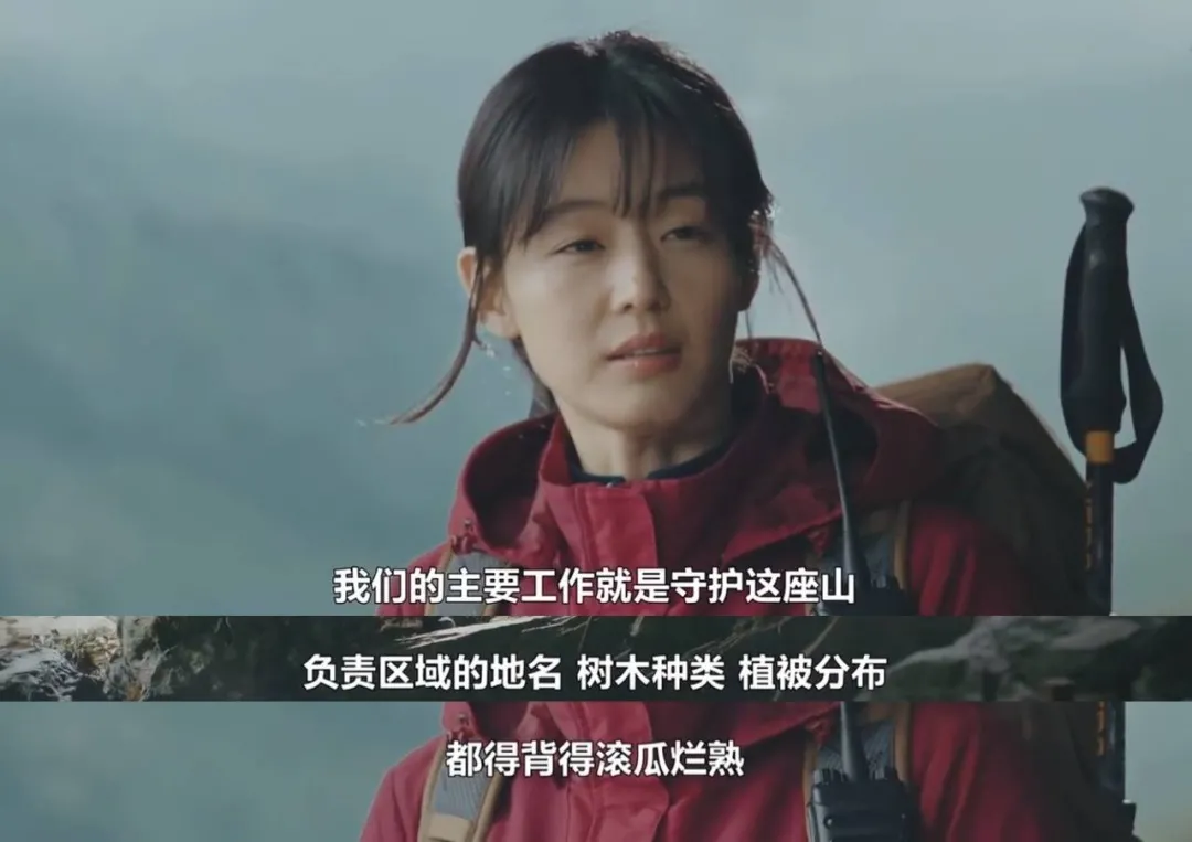 号称投资1.2亿的《智异山》,全智贤竟然翻车了