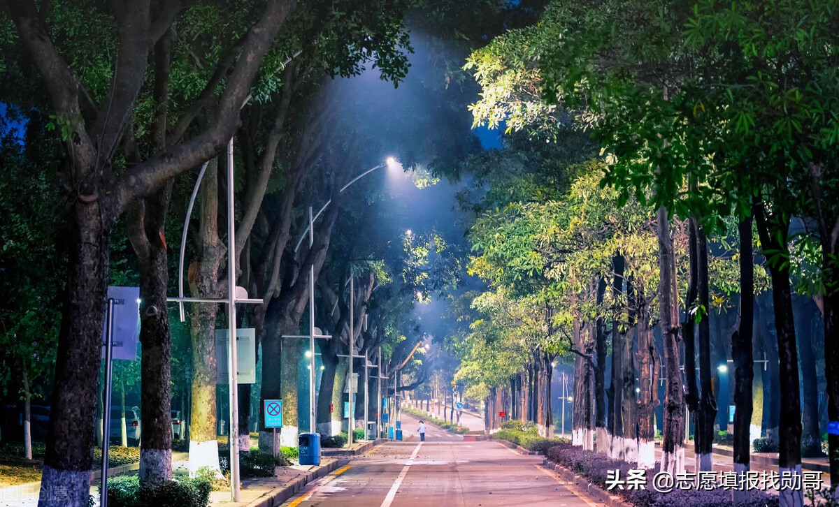 广东很低调的一所大学，学科实力强，填志愿时不要直接忽略