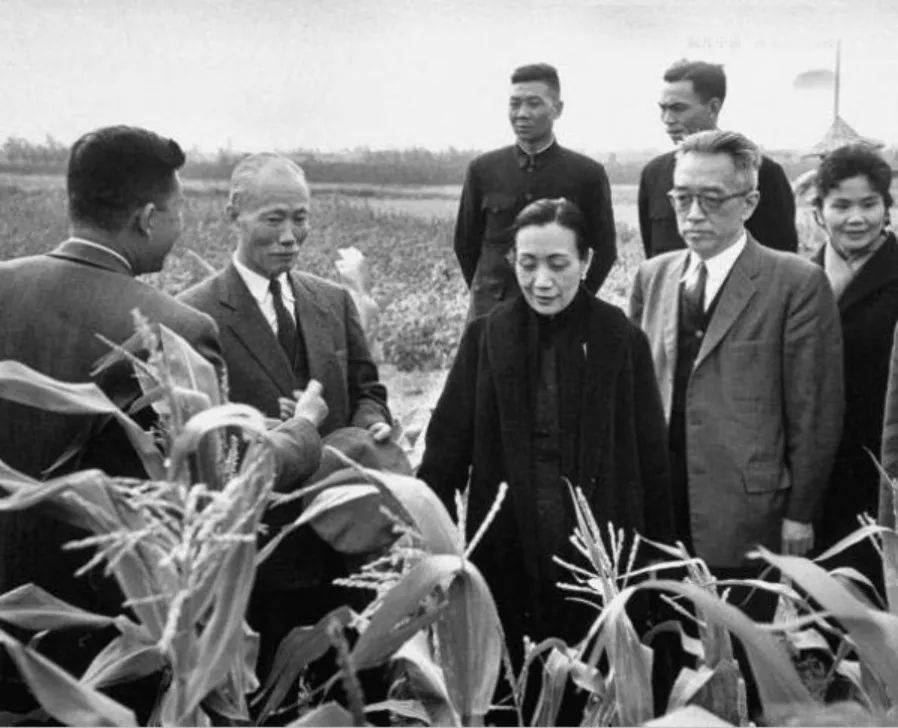 毛泽东与胡适：曾经亦师亦友，后来渐行渐远