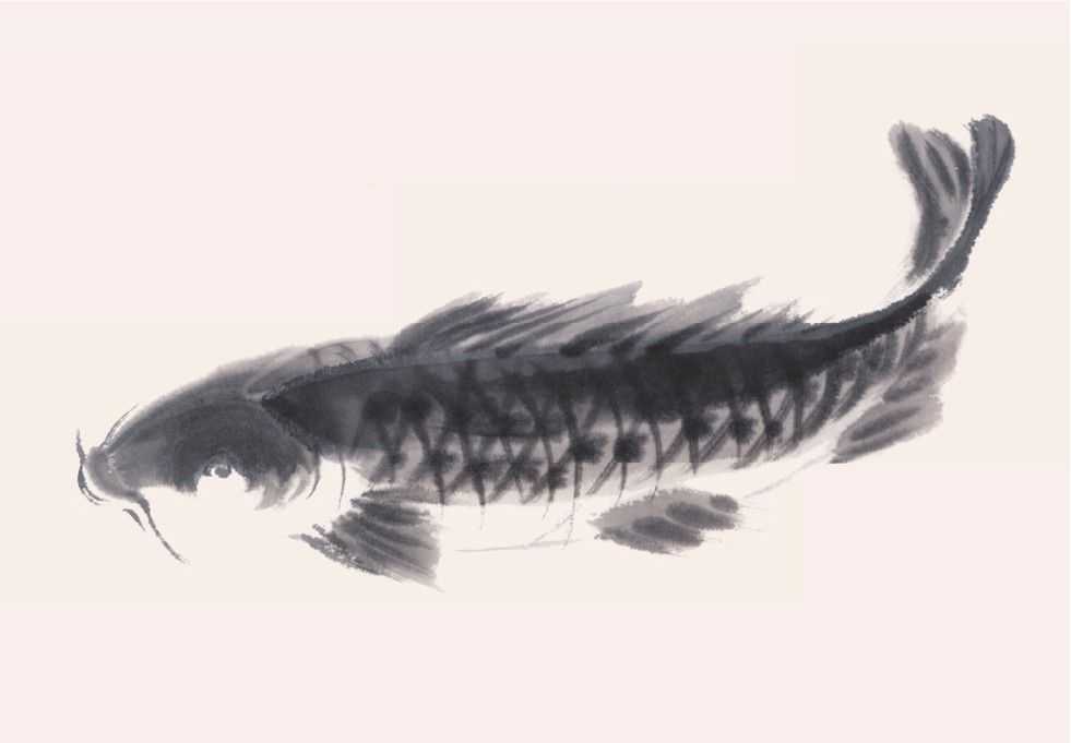 零基础水族的画法：怎么样用双勾发画金鱼鲤鱼？学会几分钟一幅画