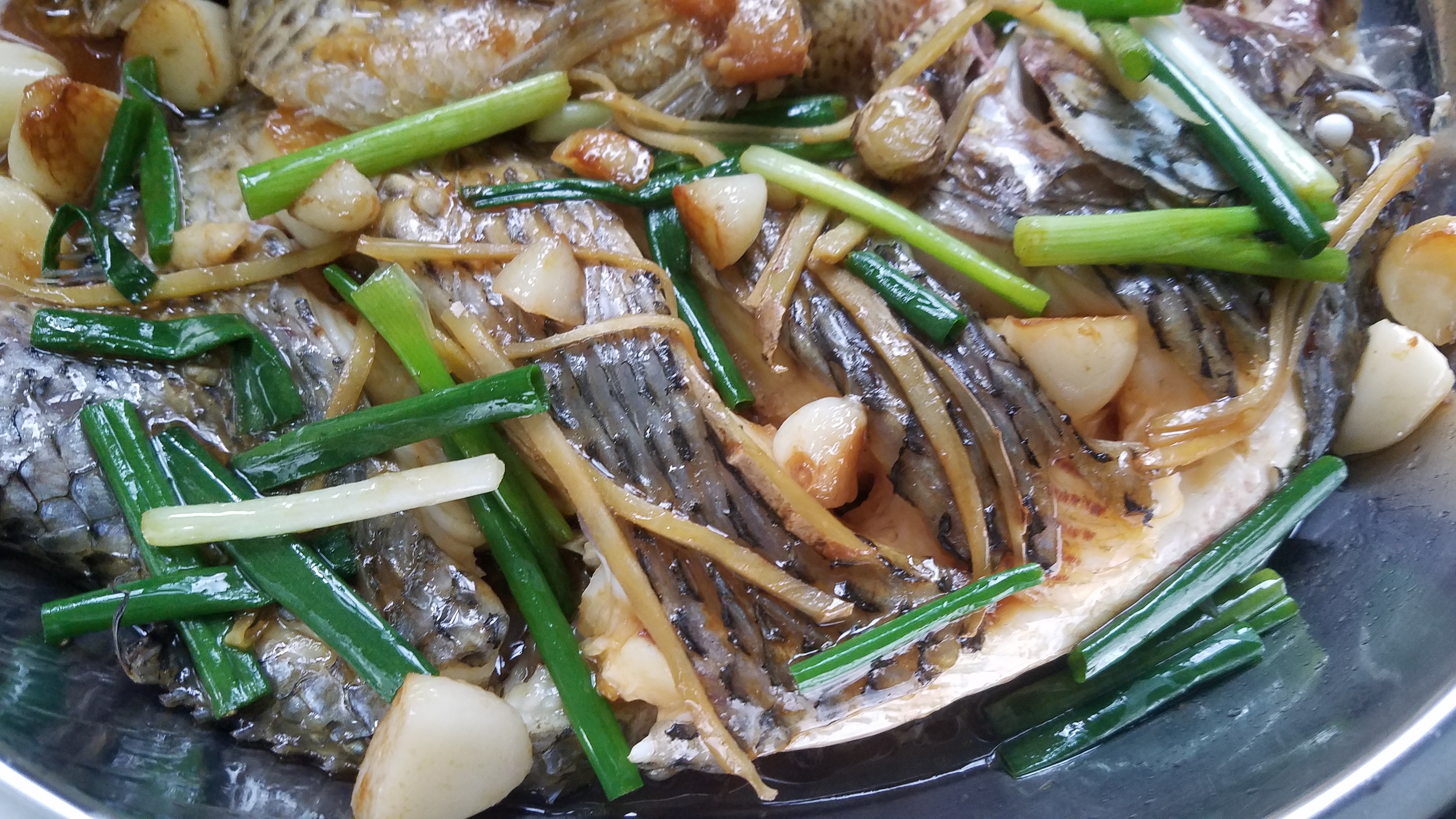 羅非魚的做法大全,羅非魚的做法大全家常菜