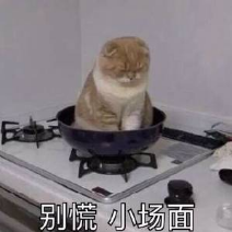 我的录取通知书什么时候才能收到？