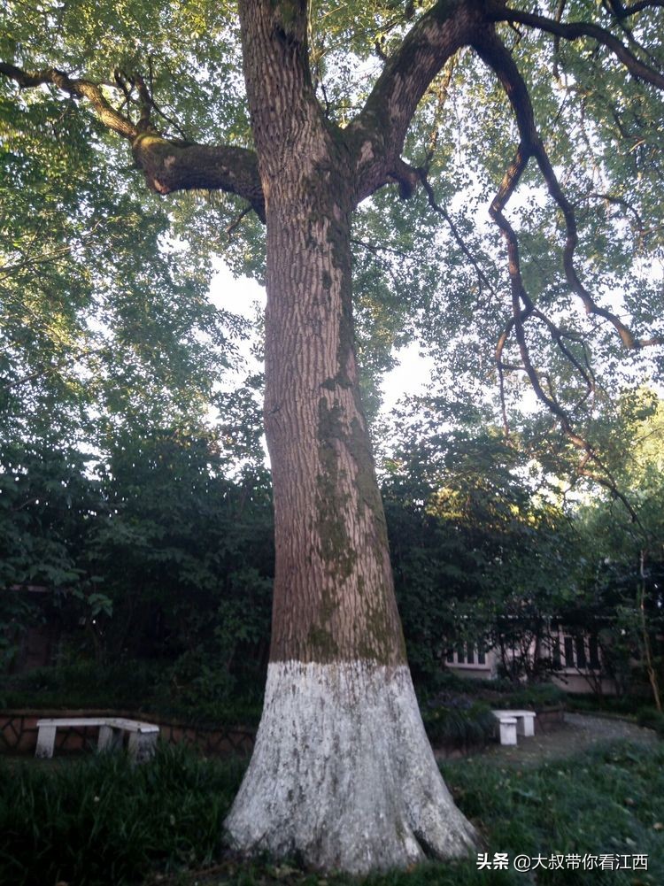 为逝去的记忆——重庆市合川师范学校掠影