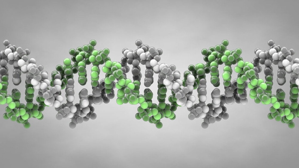 一组病毒的冷知识及十张放大一千四百倍的病毒照片