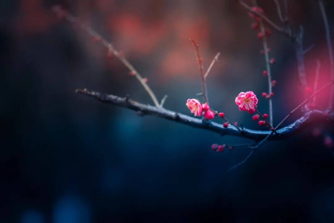 卷土重来未可知,卷土重来未可知的上一句是什么