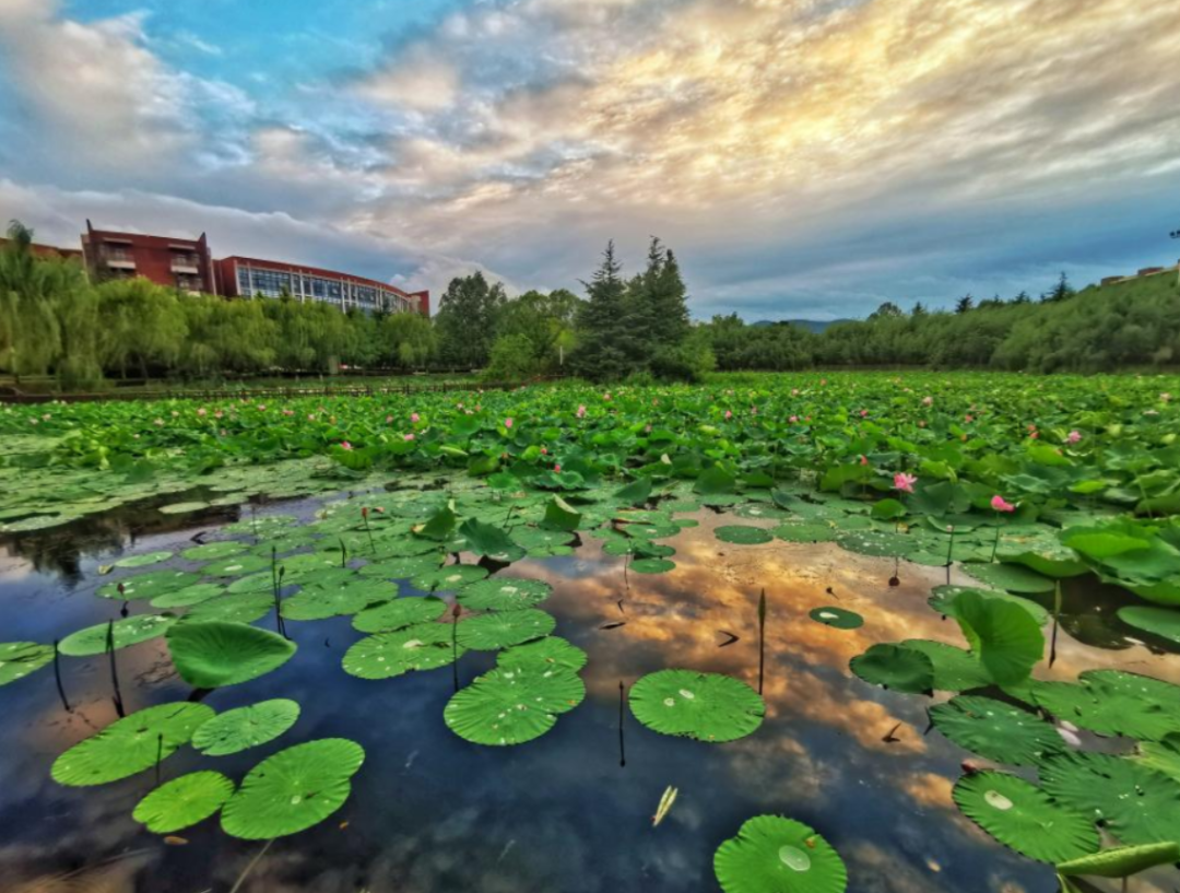 山东科技大学，来了