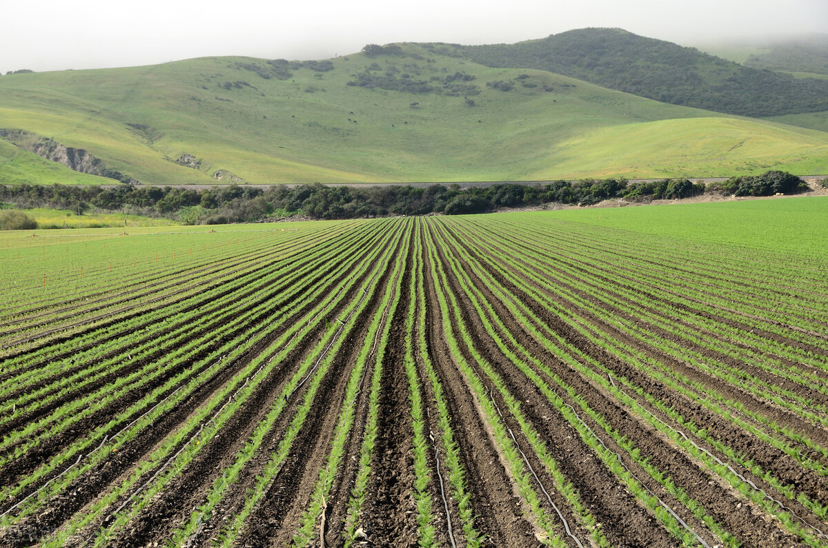 湖北快报：十堰市2021年6月第五周批复项目（累计56项）