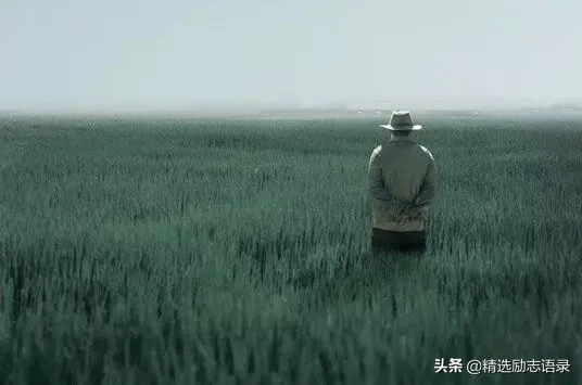 有钱没钱，珍惜眼前