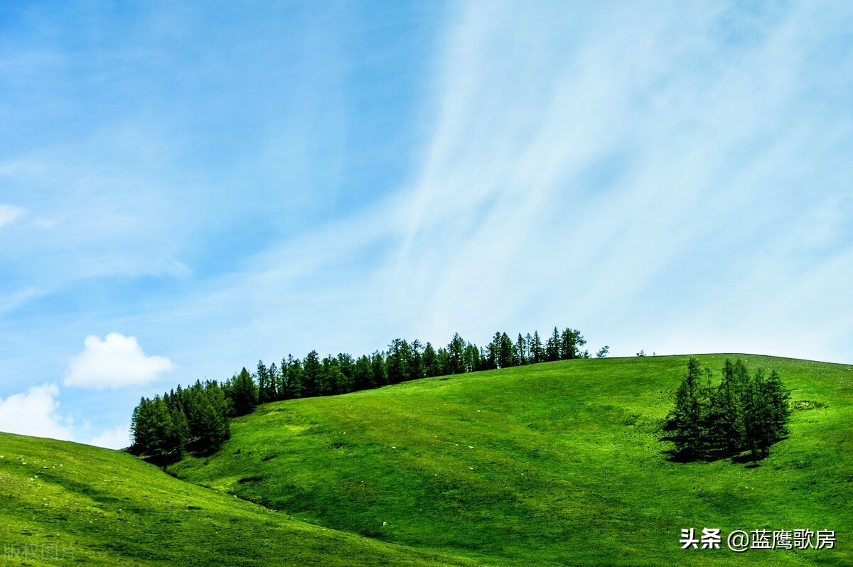 8月3日最棒的正能量励志经典语录