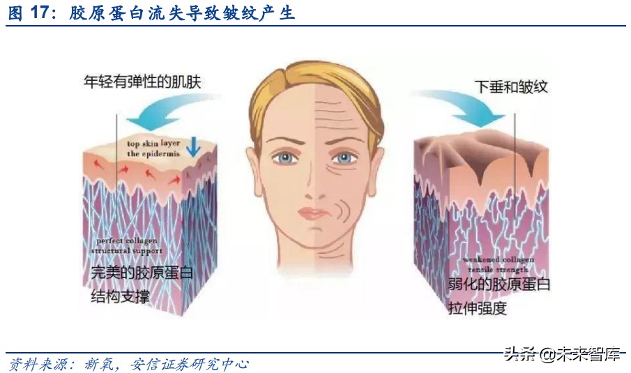 胶原蛋白行业研究：医美赛道添新宠，胶原蛋白迎新风
