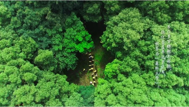 坐拥6站地铁，36个食堂！2019高考志愿填报，来华中科技大学就对了！