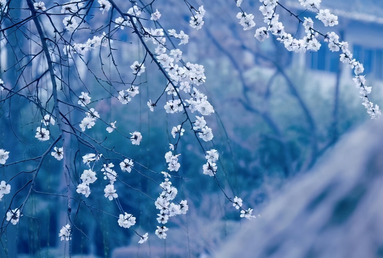 逢年过节，亲戚往来，更应该断舍离