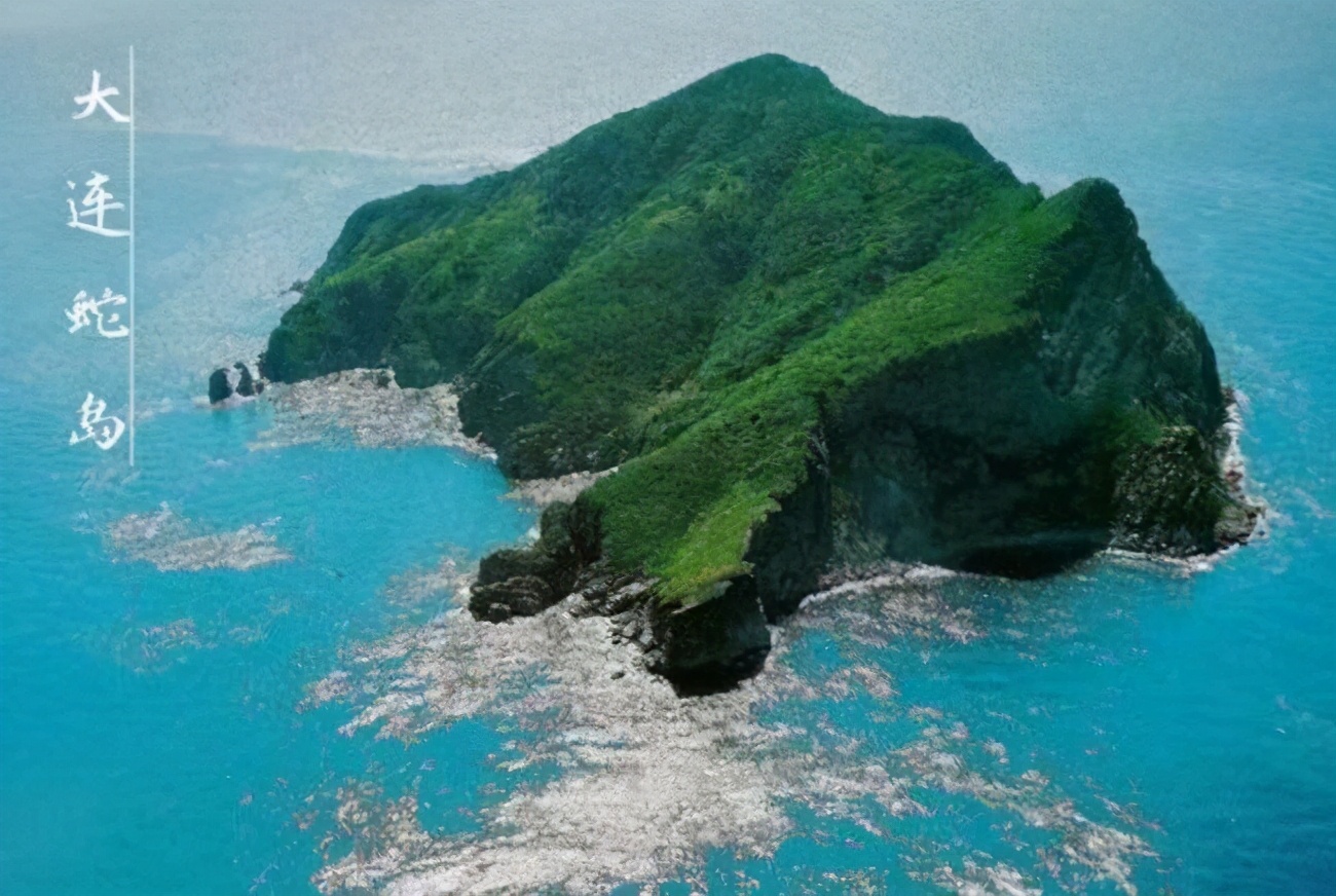 史前巨蛇“泰坦蟒”诞生于地球的一次高烧，形成原因恐再次出现