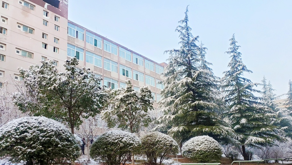 2020山东排名前六的高职高专：都是公办，一所比一所厉害