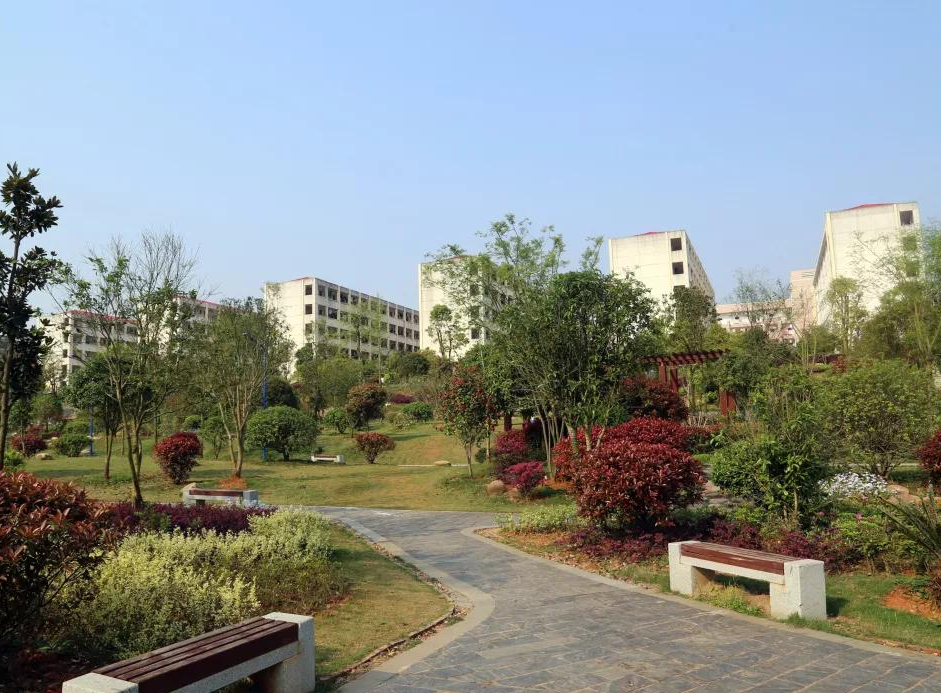 湖南这所大学即将“升本”，重点培养技术型人才，学生拍手叫好