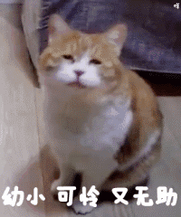 西北大学校历（定了）