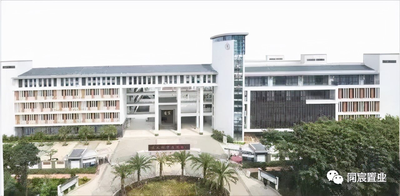 深圳大学优秀生源基地，深大附属教育集团(上)