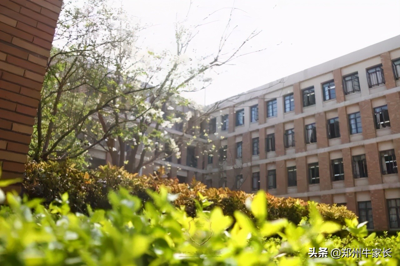 这所学校为什么有着许多奇迹教育神话？揭秘名校，原来是这样的