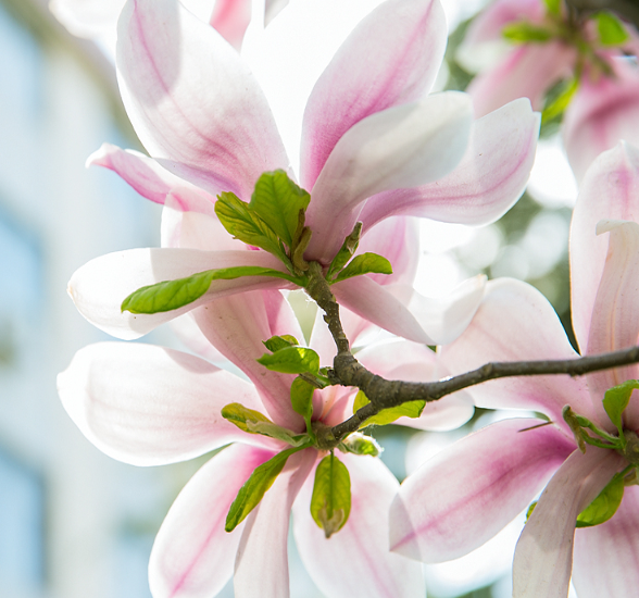 华北电力大学北京2017-2018年录取分数统计