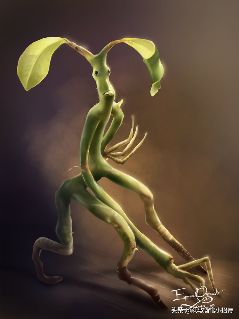 给麻瓜的《神奇动物百科》，魔法世界的动物到底有多神奇（长文）