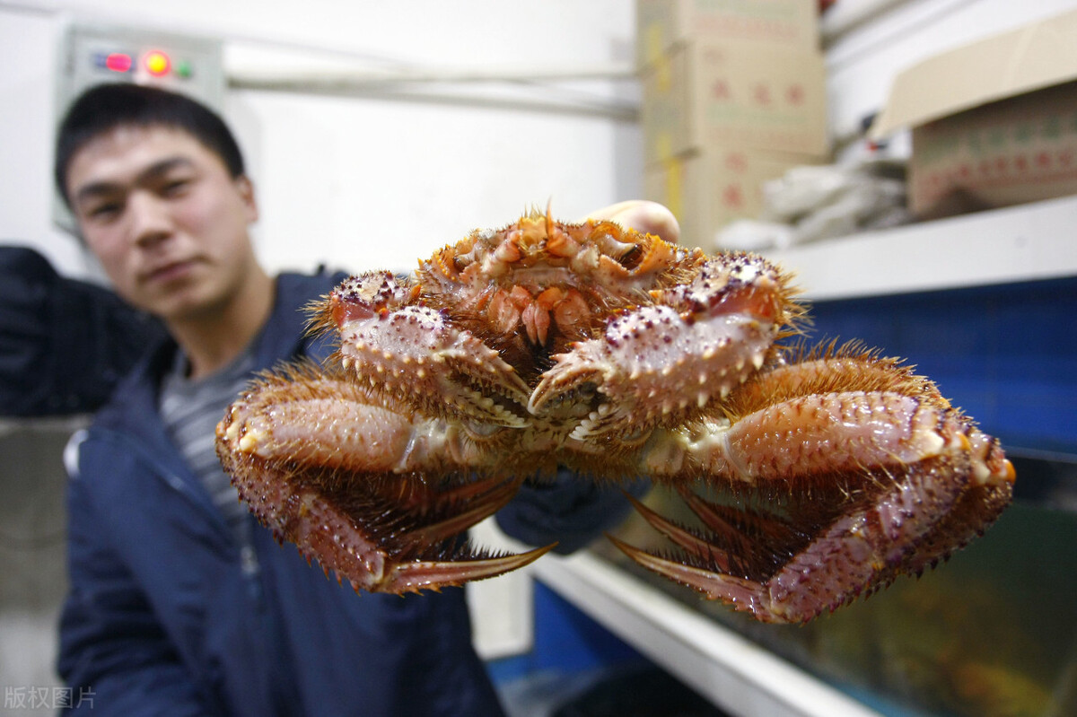 螃蟹腰斩，金鲳陷入困境，黄颡鱼下滑，假期能否挽救鱼蟹？