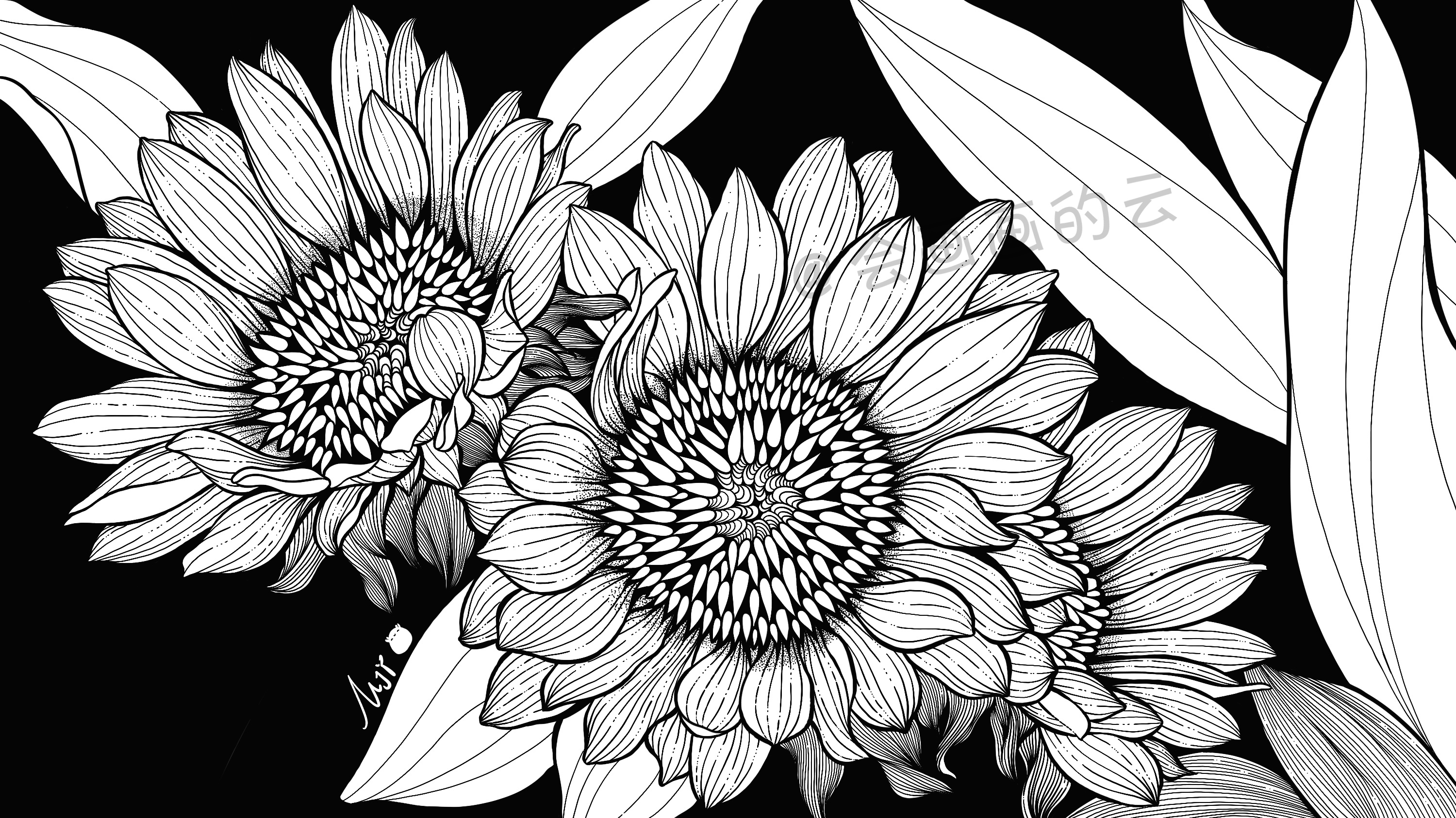 线条的魅力，线描插画过程图详细步骤讲解，教你如何零基础画画