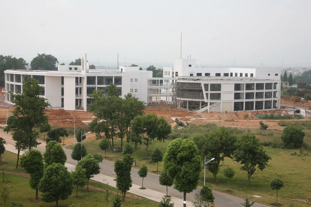 金职，生日快乐