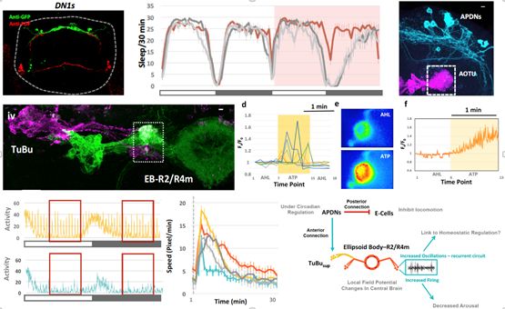 《流浪地球》中的杭州没了，还要去浙大上学/上班吗？