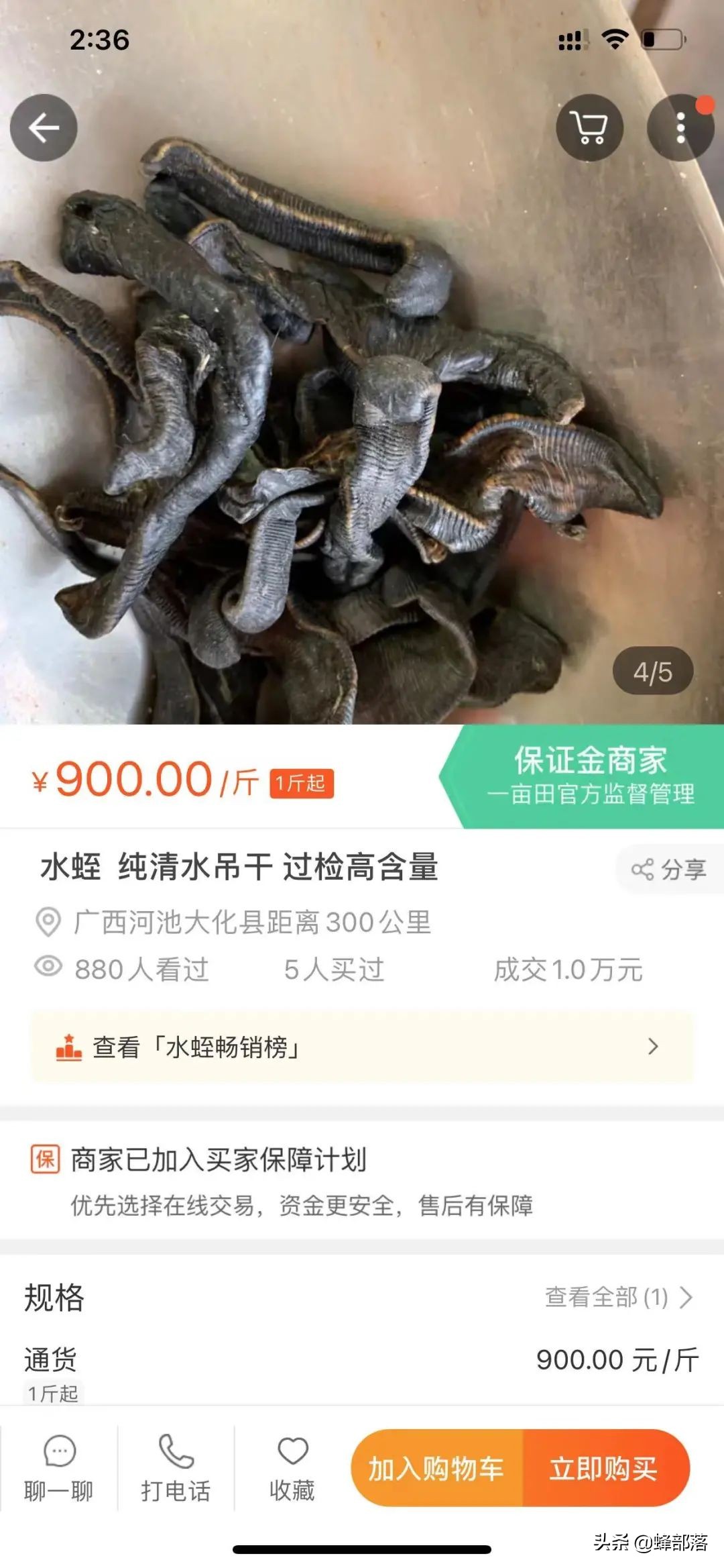 拥有“不死之身”的蚂蝗，缘何卖到900元一斤？新价值被发现