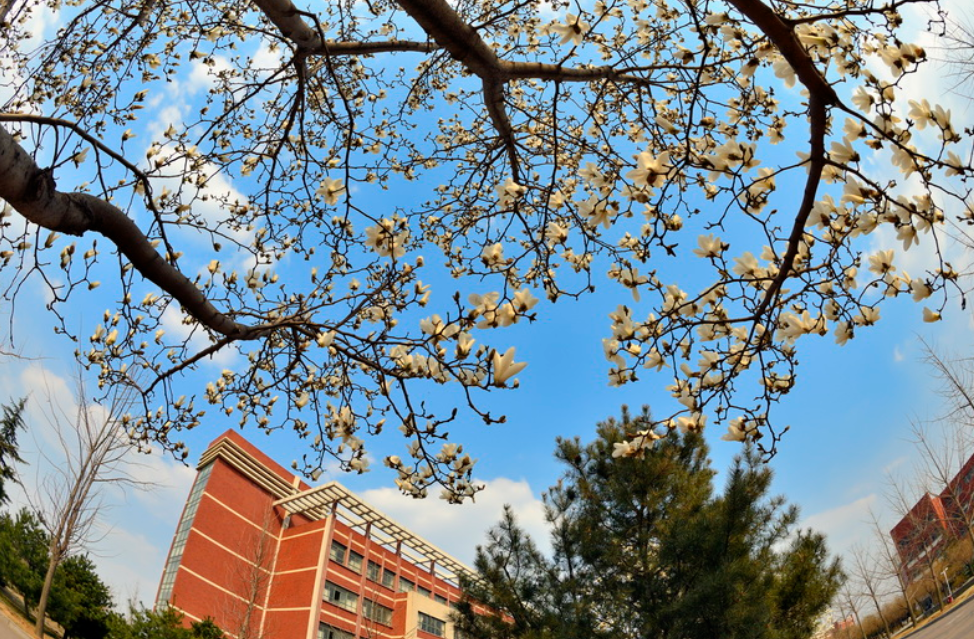 山东科技大学，来了