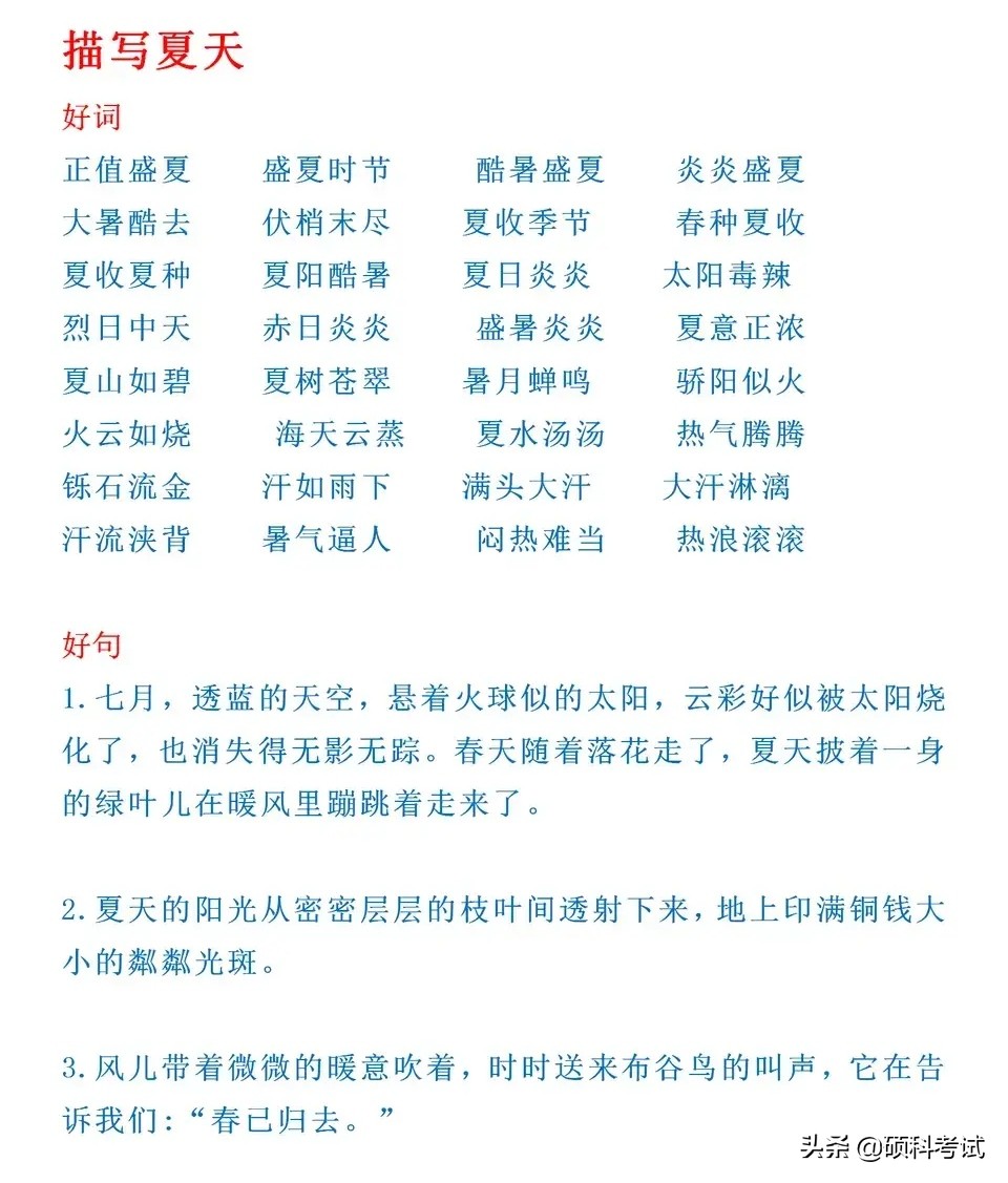 小学语文优美句子摘录精选，提升写作的智慧之窗