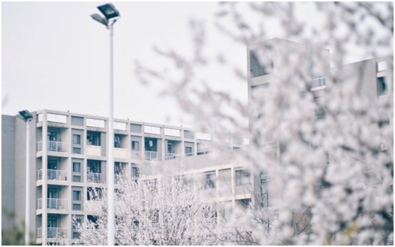 这所211高校，位于全国唯一一个冬有暖气、夏有空调、享受包邮的城市