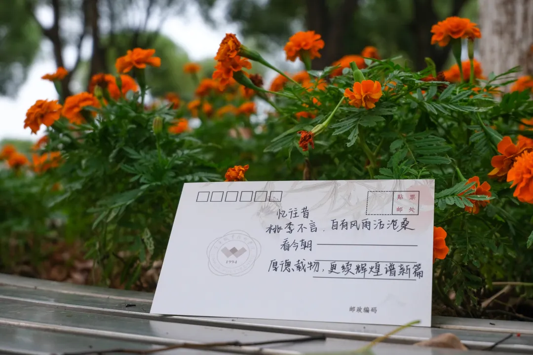 金职，生日快乐