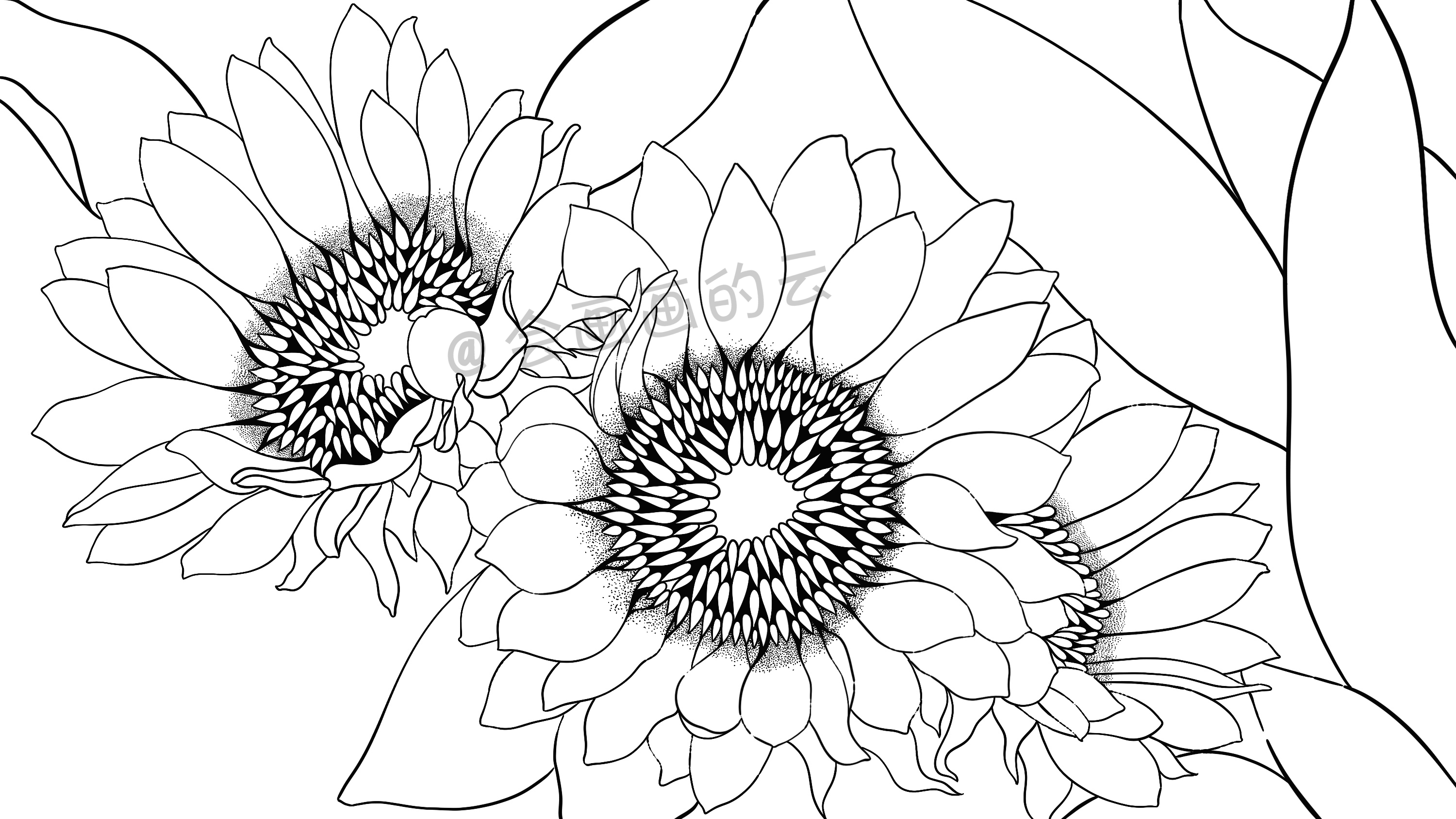 线条的魅力，线描插画过程图详细步骤讲解，教你如何零基础画画