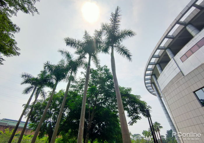 OPPO Reno2评测：稳如鸡头，适合vlogger的神器