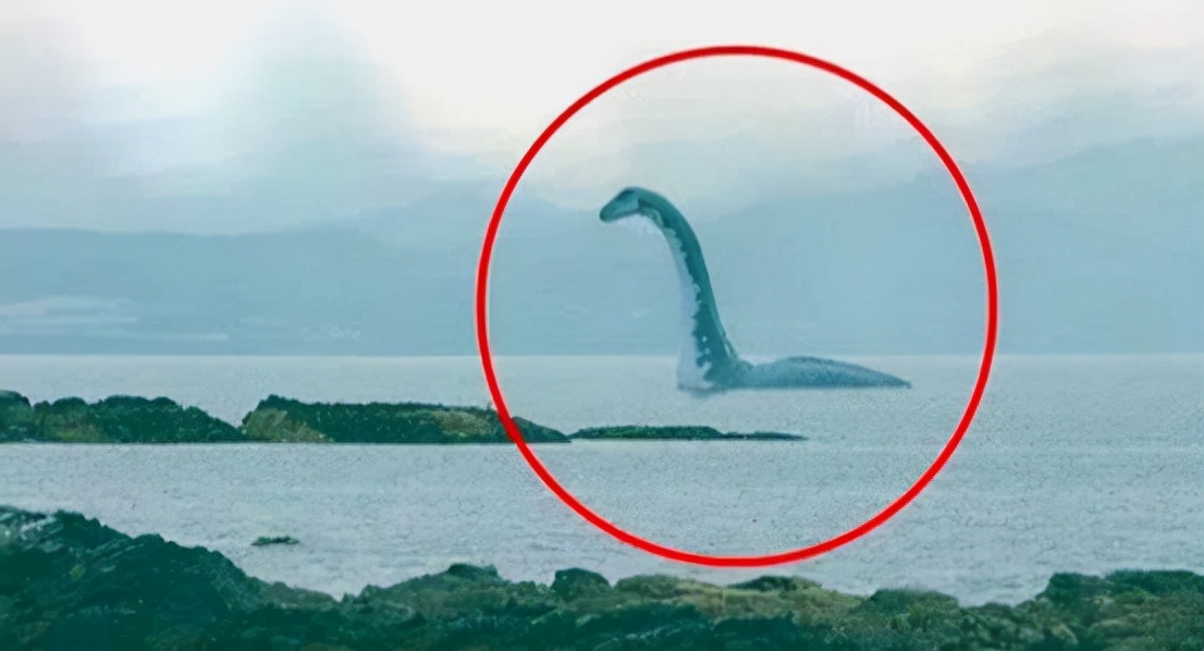 水怪之谜(长白山天池出现"水怪",仅脖子就有1米长,这到底是什么生物?
