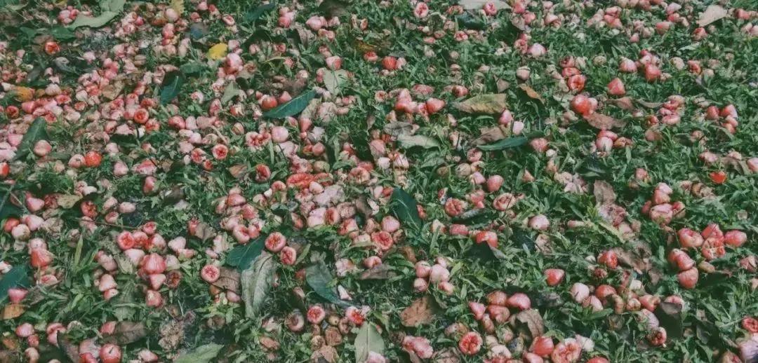 那些别人家的大学！真香！看看你的大学榜上有名吗？