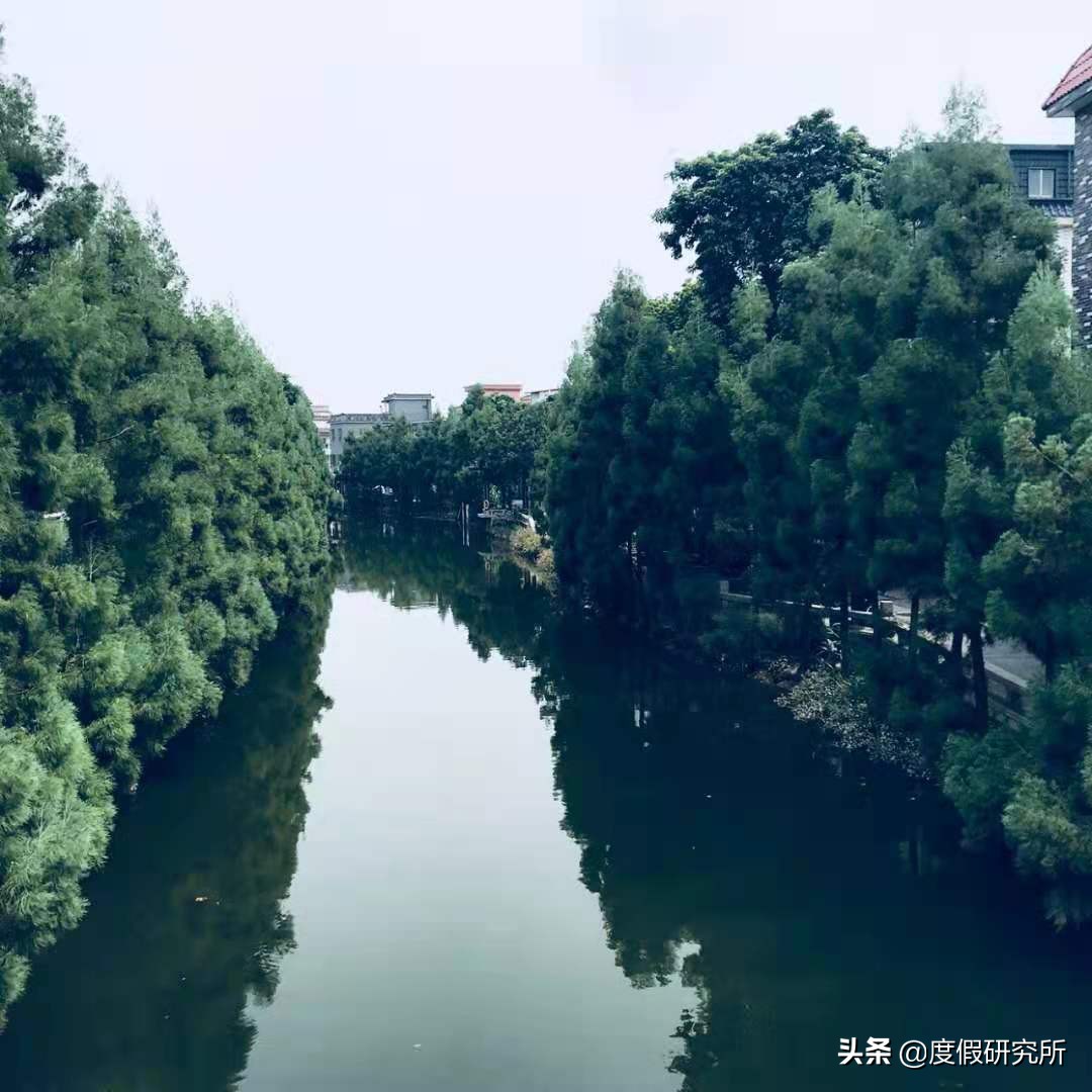 杏花春雨小桥流水，不输周庄乌镇，广东适合游玩的四个江南水乡