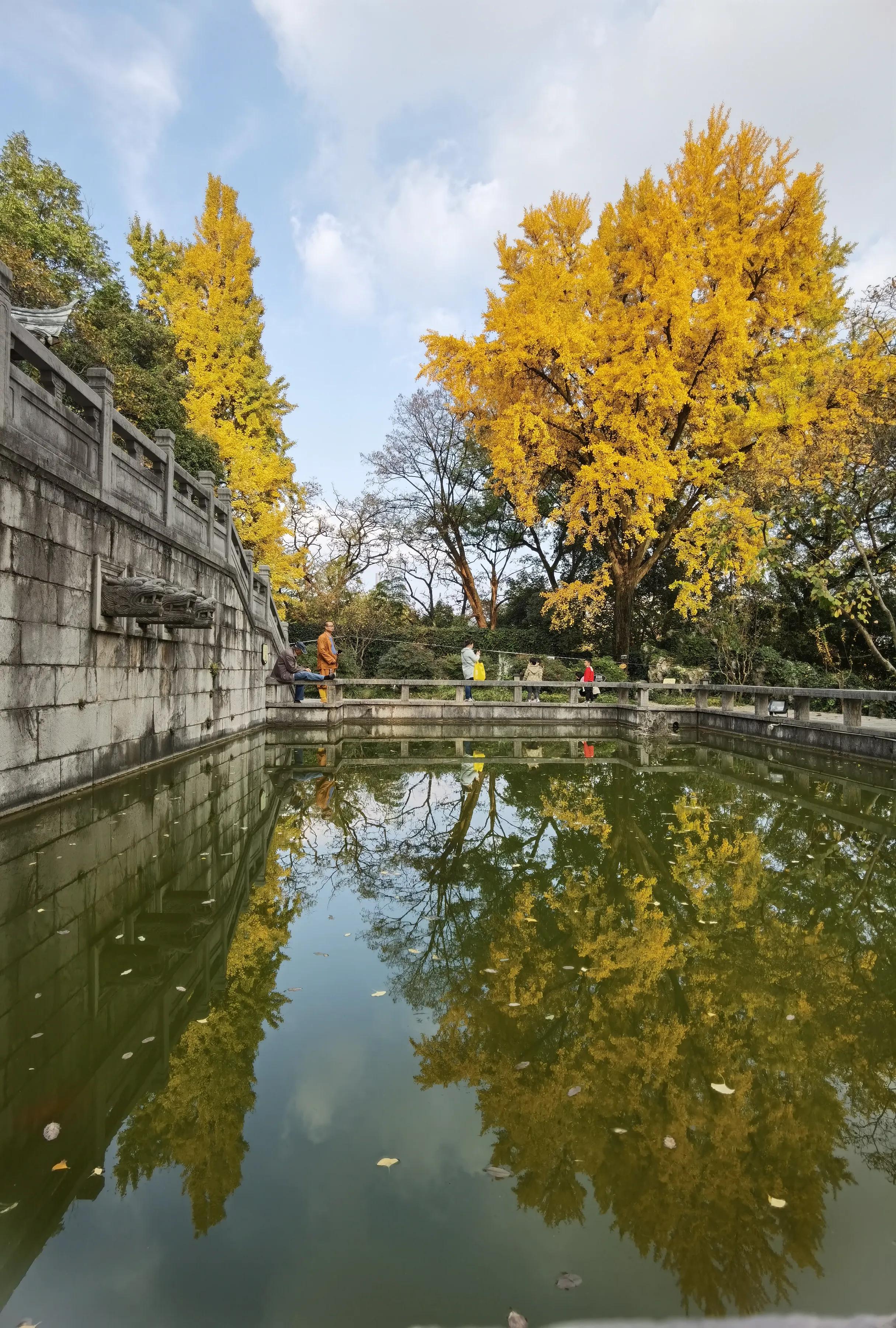 手拍世界（手机摄影平台）-群员作品集（总第733期）