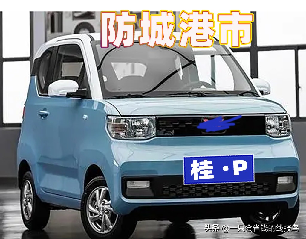 å¹¿è¥¿å£®æ—�è‡ªæ²»åŒºæ±½è½¦ç‰Œç…§å&shy;—æ¯�æ�’åº�