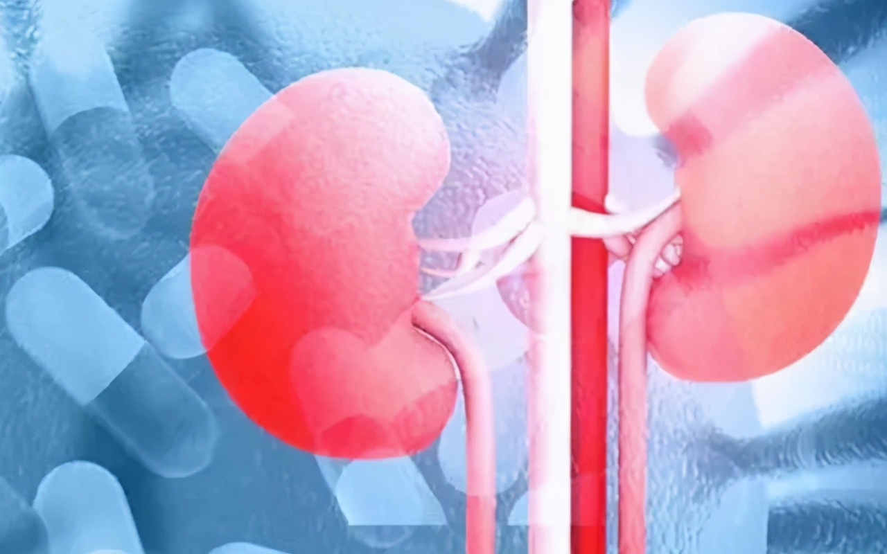 什么是肾活检？什么情况下要做肾活检？