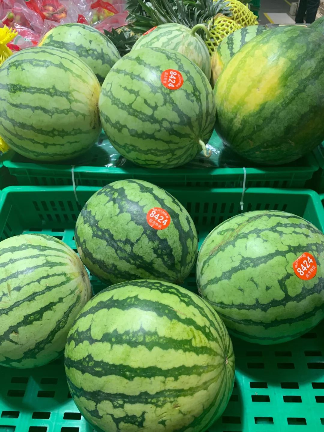 满街的8424西瓜真假难辨，教你做一名合格的吃瓜群众
