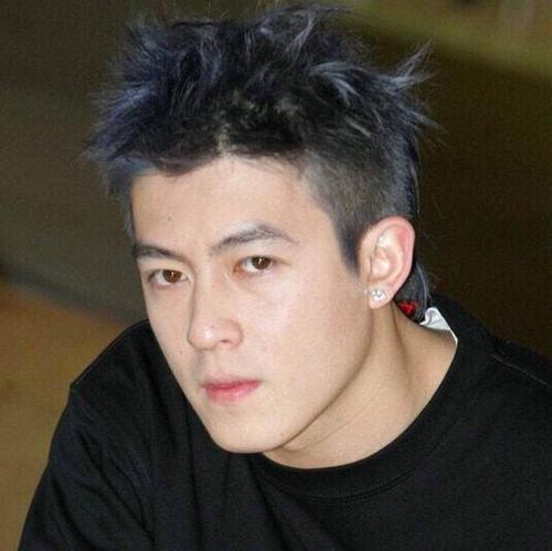 陈冠希事件内幕被曝：道歉会后被人“塞”进后备箱，迅速逃往国外
